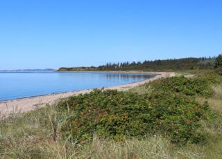 En av Furs vackra vikar med strand, klart vatten och frodig natur En av Furs vackra vikar med strand, klart vatten och frodig natur