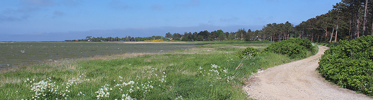 Ferienhäuser am Wald und Wasser im Urlaubsgebiet Fyns Hoved Ferienhäuser am Wald und Wasser im Urlaubsgebiet Fyns Hoved