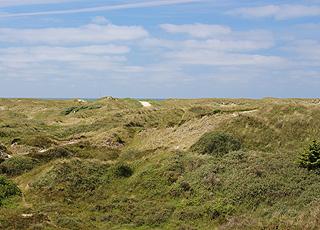 The scenic dune area between the beach and the holiday homes in Grærup The scenic dune area between the beach and the holiday homes in Grærup