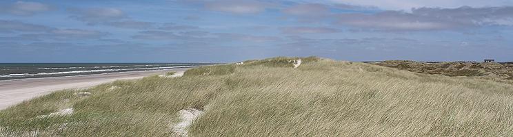 Between the North Sea and the holiday homes of Grærup you will find a scenic and hilly dune area Between the North Sea and the holiday homes of Grærup you will find a scenic and hilly dune area