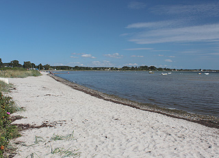 I Grønninghoved finns en härlig sandstrand med grunt badvatten I Grønninghoved finns en härlig sandstrand med grunt badvatten