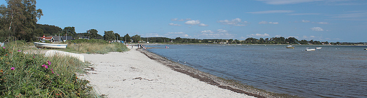 Underbar sandstrand med grunt, barnvänligt vatten vid sommarstugeområdet Grønninghoved Underbar sandstrand med grunt, barnvänligt vatten vid sommarstugeområdet Grønninghoved