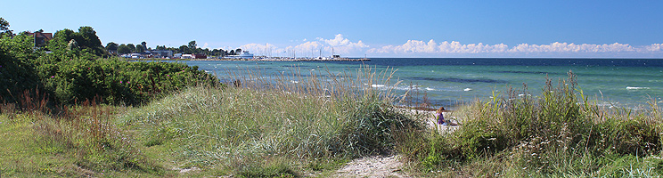 Badestrand med klart vand ud for sommerhusene i Havnsø Badestrand med klart vand ud for sommerhusene i Havnsø