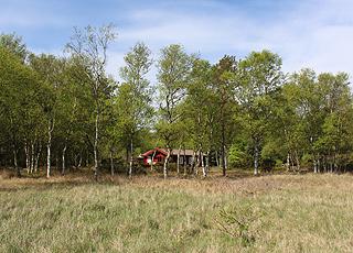 The holiday homes in Helberskov are surrounded by forest and plantation The holiday homes in Helberskov are surrounded by forest and plantation