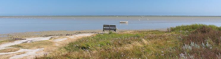 View bench by the shallow shore in Helberskov View bench by the shallow shore in Helberskov