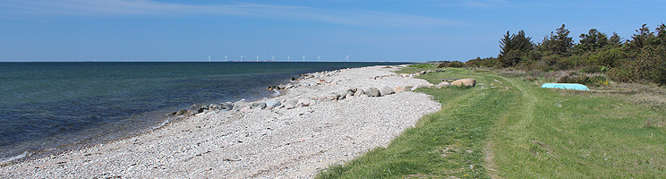 Lång badstrand och grönområden med skog vid sommarstugorna i Helligsø Lång badstrand och grönområden med skog vid sommarstugorna i Helligsø
