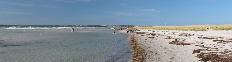 Badegäste am schönen Badestrand mit seichtem und klarem Badewasser in Højby Lyng Badegäste am schönen Badestrand mit seichtem und klarem Badewasser in Højby Lyng