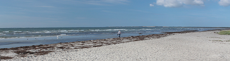 Lovely wide and sandy beach in the holiday home area Hønsinge Lyng Lovely wide and sandy beach in the holiday home area Hønsinge Lyng