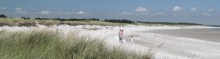 Ein Sommertag am kinderfreundlichen Sandstrand mit Dünen in Hou Ein Sommertag am kinderfreundlichen Sandstrand mit Dünen in Hou