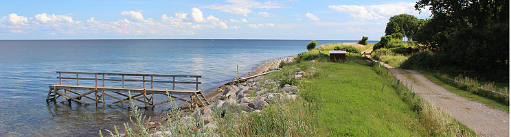 Badebro ved stranden i sommerhusområdet Hov, Langeland Badebro ved stranden i sommerhusområdet Hov, Langeland