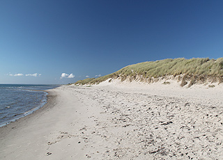 Udsigt mod syd fra den dejlige sandstrand i Hulsig Udsigt mod syd fra den dejlige sandstrand i Hulsig