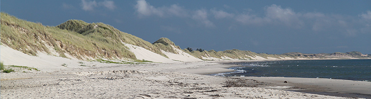 Hulsigs strand med fint, hvidt sand og høje klitter Hulsigs strand med fint, hvidt sand og høje klitter