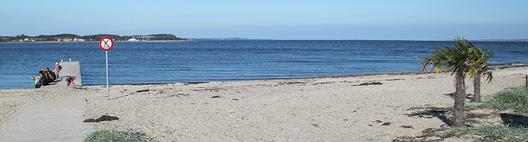 Der Sandstrand in Hvalpsund bietet einen Badesteg, Palmen und Aussicht über Salling Der Sandstrand in Hvalpsund bietet einen Badesteg, Palmen und Aussicht über Salling