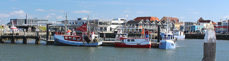 Oplev stemningen i den livlige fiskerihavn i Hvide Sande Oplev stemningen i den livlige fiskerihavn i Hvide Sande