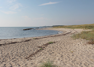 Fin sandstrand med små sanddyner i ferieområdet Hyldtofte Fin sandstrand med små sanddyner i ferieområdet Hyldtofte