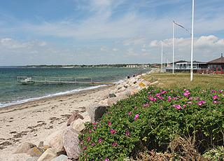 Sommerhuse langs Juelsmindes sydlige strand Sommerhuse langs Juelsmindes sydlige strand