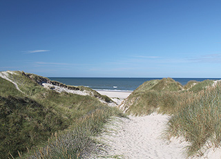 Auf dem Weg zum breiten, weißen Sandstrand bei Kærsgård Auf dem Weg zum breiten, weißen Sandstrand bei Kærsgård