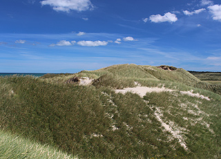 Die schöne, hügelige Dünenlandschaft hinter Kærsgård Strand Die schöne, hügelige Dünenlandschaft hinter Kærsgård Strand