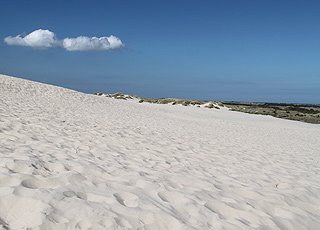 Die großen Sanddünen in Råbjerg Mile hinter der Küste bei Kandestederne Die großen Sanddünen in Råbjerg Mile hinter der Küste bei Kandestederne