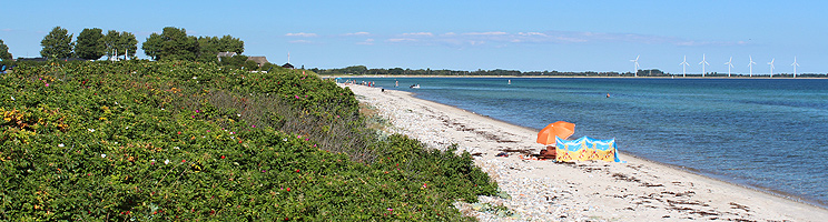 Lovely bathing beach by the dike, leading to the peninsular Kegnæs on Als Lovely bathing beach by the dike, leading to the peninsular Kegnæs on Als