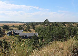 Holiday homes in green surroundings in Kollerup Holiday homes in green surroundings in Kollerup