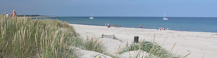 The lovely sandy beach with small dunes in Osterby on Laso The lovely sandy beach with small dunes in Osterby on Laso