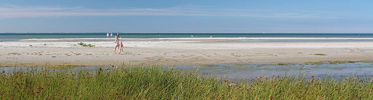 In Vestero Syd you can enjoy a lovely sandy beach with shallow and child-friendly water In Vestero Syd you can enjoy a lovely sandy beach with shallow and child-friendly water