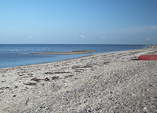 You can sail and swim by the Limfjord beach in Lendrup You can sail and swim by the Limfjord beach in Lendrup