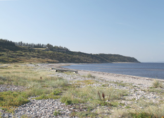 View towards south from the holiday home area in Lendrup View towards south from the holiday home area in Lendrup