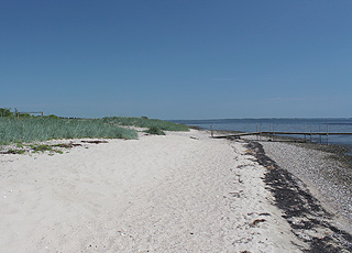 Fin sandstrand vid sommarstugeområdet Louns Fin sandstrand vid sommarstugeområdet Louns
