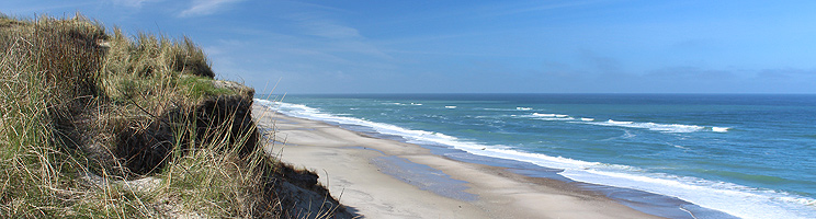 Aussicht von den hohen Dünen über den Strand von Lyngby in Thy Aussicht von den hohen Dünen über den Strand von Lyngby in Thy