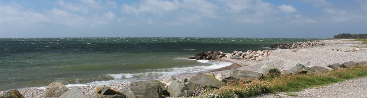 Stranden utanför sommarstugeområdet Lyngs vid Limfjorden Stranden utanför sommarstugeområdet Lyngs vid Limfjorden