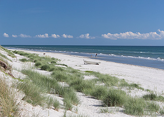View along the beach from the dunes in the holiday area Lyngså View along the beach from the dunes in the holiday area Lyngså