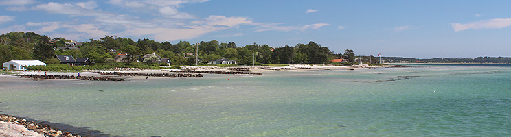 Sommerhuse i grønne omgivelser langs den dejlige strand i Lyngsbæk Sommerhuse i grønne omgivelser langs den dejlige strand i Lyngsbæk
