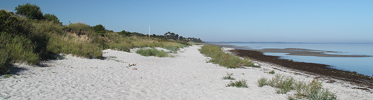 The lovely sandy beach with shallow bathing water in Lystrup The lovely sandy beach with shallow bathing water in Lystrup