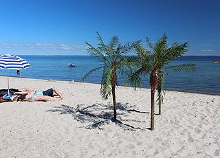 Relaxation by the palm trees on the beach in the holiday home area Mommark Relaxation by the palm trees on the beach in the holiday home area Mommark