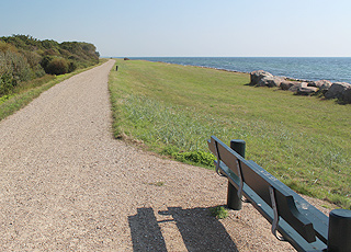 Utsiktsbenk ved Digestien bak stranden i feriehusområdet Næsby Strand Utsiktsbenk ved Digestien bak stranden i feriehusområdet Næsby Strand
