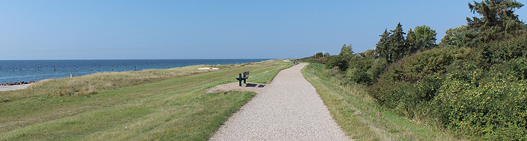 Digestien mellom feriehusene og stranden i Næsby Strand Digestien mellom feriehusene og stranden i Næsby Strand