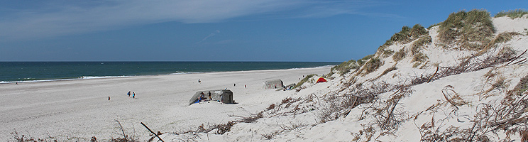 I Nymindegab finder I en bred sandstrand med bunkere og høje klitter I Nymindegab finder I en bred sandstrand med bunkere og høje klitter