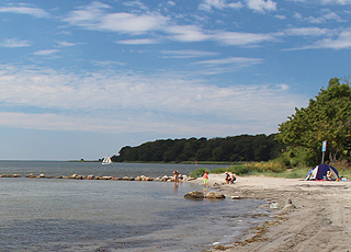 Hyggelig og barnevennlig badestrand ved skogområdet Skansen i Nysted Hyggelig og barnevennlig badestrand ved skogområdet Skansen i Nysted