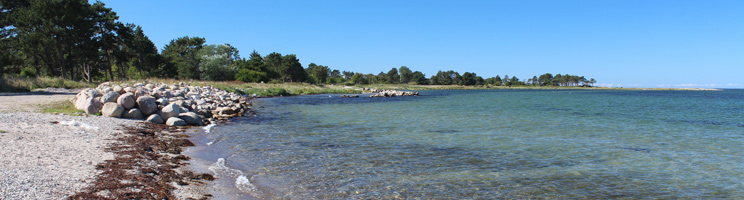Lovely bathing water by the beach in the holiday home area Reersø on the western part of Sealand Lovely bathing water by the beach in the holiday home area Reersø on the western part of Sealand