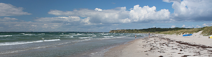 Dejlig, lang sandstrand med klitter og klart badevand i Ristinge på Langeland Dejlig, lang sandstrand med klitter og klart badevand i Ristinge på Langeland
