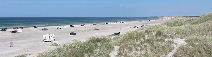 Der breite Sandstrand mit höhen Dünen in Rødhus Der breite Sandstrand mit höhen Dünen in Rødhus