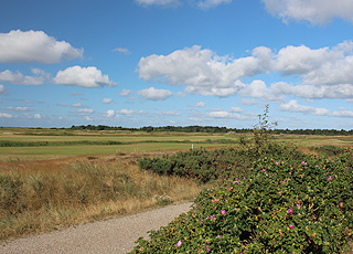 The challenging golf course in Havneby is surrounded by scenic nature The challenging golf course in Havneby is surrounded by scenic nature