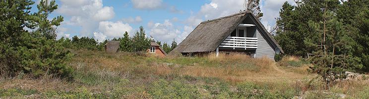 Sommerhusene i Toftum ligger i kuperede skovomgivelser, tæt ved Rømøs brede sandstrand Sommerhusene i Toftum ligger i kuperede skovomgivelser, tæt ved Rømøs brede sandstrand