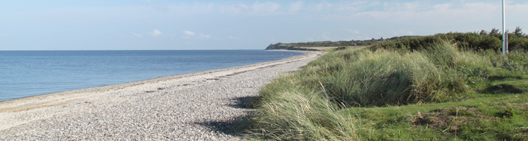 Den långa Limfjordsstranden med sand och sten i Rønbjerg Den långa Limfjordsstranden med sand och sten i Rønbjerg