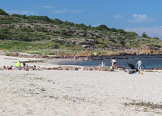 Sandstranden i Sandvig er omgivet af klippekyster på begge sider Sandstranden i Sandvig er omgivet af klippekyster på begge sider