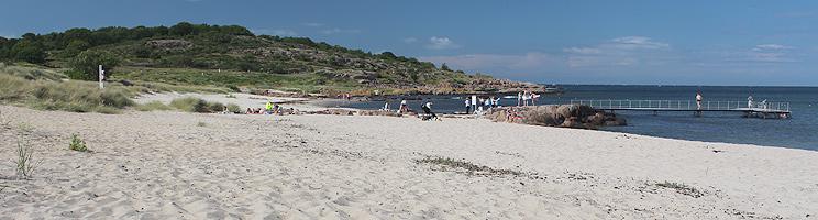 Badegæster på den skønne sandstrand med badebro i Sandvig Badegæster på den skønne sandstrand med badebro i Sandvig