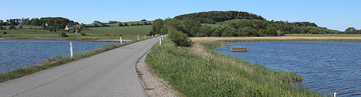 Dike, water with a rich bird life and hilly nature area near Sennels Dike, water with a rich bird life and hilly nature area near Sennels