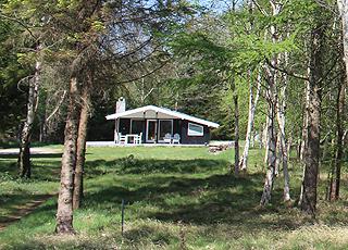 Sommarstuga i härliga skogomgivningar bortom kusten i Sillerslev Sommarstuga i härliga skogomgivningar bortom kusten i Sillerslev